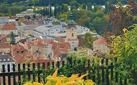 Blick Ueber Krems Mit Gartenpavillon
