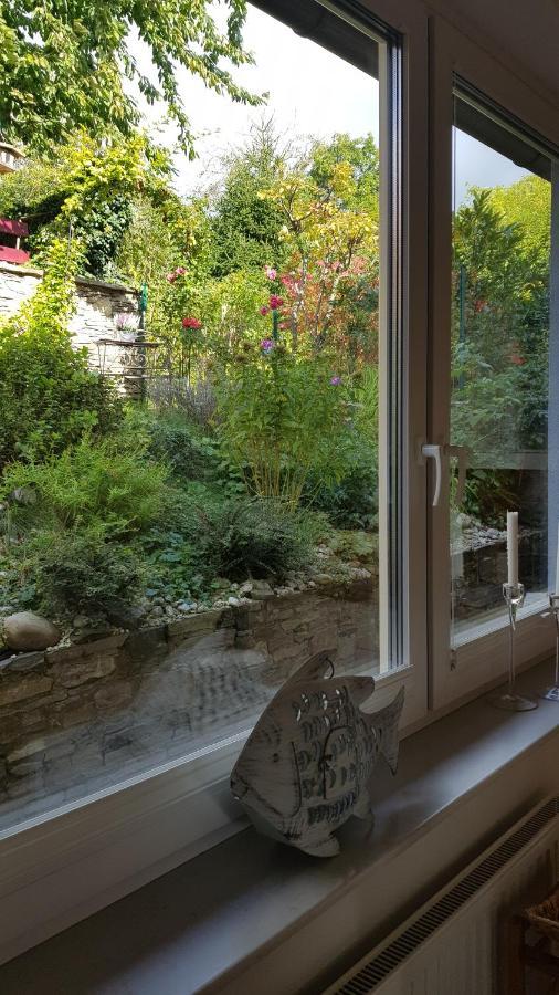 Blick Ueber Krems Mit Gartenpavillon Buitenkant foto